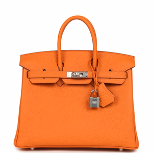 Hermès Birkin 25 Orange Minium Togo Palladium